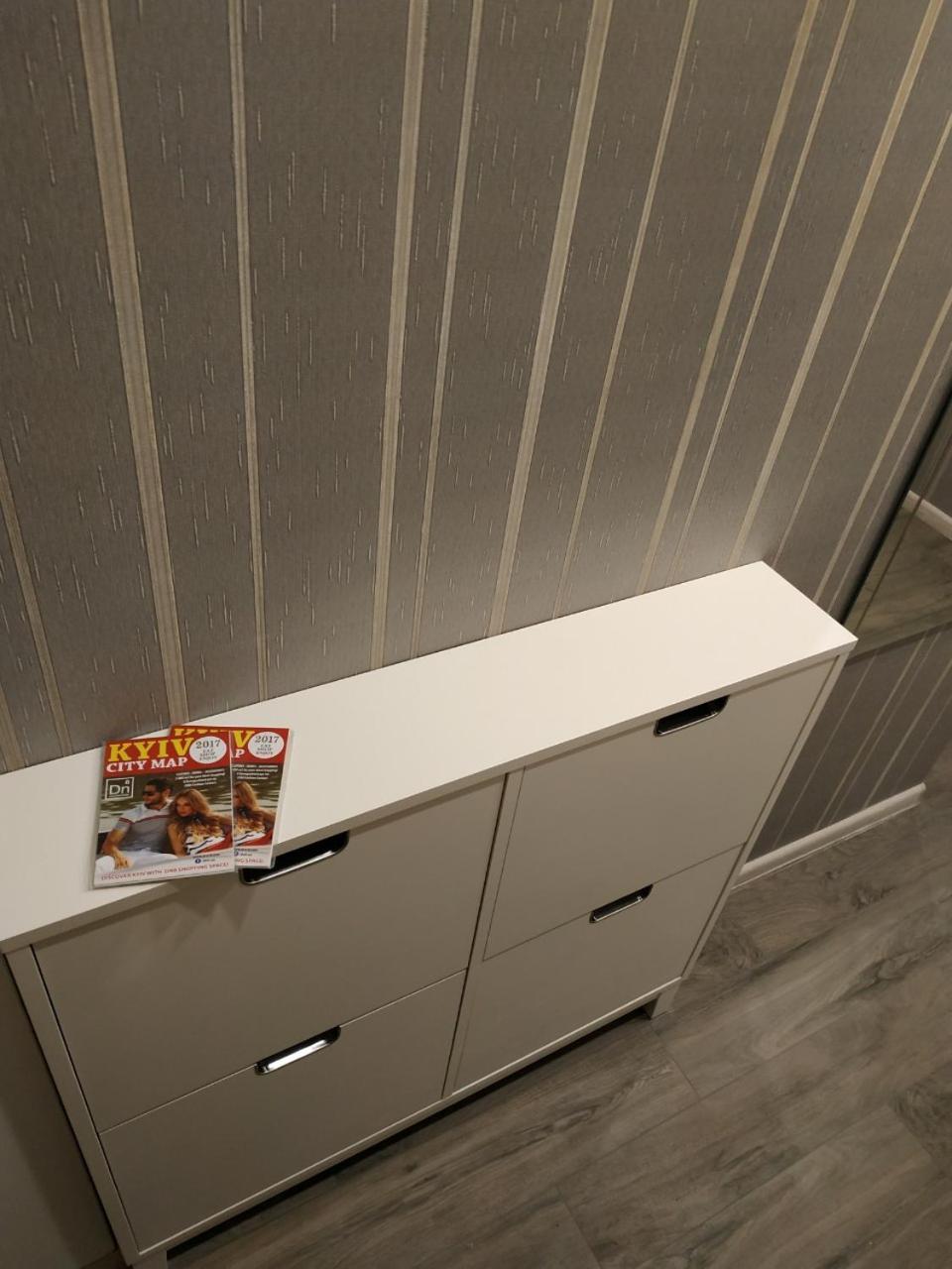 Comfort Apartment On Bogdanivska Street 7B キエフ エクステリア 写真